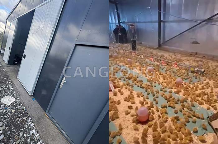 Albanian chicken house